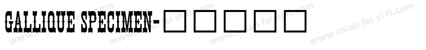 GALLIQUE SPECIMEN字体转换